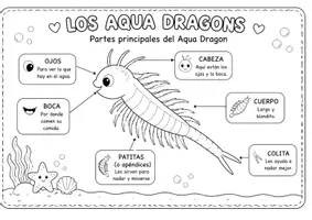 Vista previa - Unidades / Secuencias / Situaciones de Aprendizaje - MINI PROYECTO AQUA DRAGONS - página 3