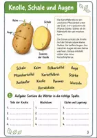 Vorschau - Arbeitsblätter - Die Kartoffel Klasse 3 - Seite 2