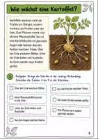 Vorschau - Arbeitsblätter - Die Kartoffel Klasse 3 - Seite 3