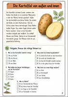 Vorschau - Arbeitsblätter - Kartoffel Klasse 3 -4 Forschen und Experimentieren - Seite 1
