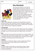 Vorschau - Unterrichtsreihen - Das Huhn, Eier, Küken und Eierproduktion - Seite 2