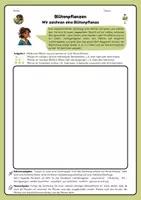 Vorschau - Arbeitsblätter - Blütenpflanzen wissenschaftlich zeichnen - Deckblatt
