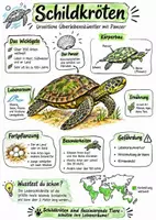 Vorschau - Arbeitsblätter - Lernplakat + Arbeitsblätter zum Thema "Schildkröten" + Lösung & MP3 + Mindmap + Infografik - Deckblatt
