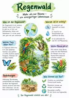 Vorschau - Arbeitsblätter - Lernposter + AB mit Fragen zum Thema "Regenwald" + Lösungsblatt + Mindmap + Infografik - Deckblatt