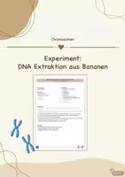 Vorschau - Arbeitsblätter - DNA Extraktion aus Tomaten - Experiment - Deckblatt