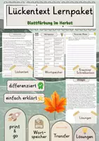 Vorschau - Arbeitsblätter - Blattfärbung im Herbst Lückentext mit Wortspeicher und Transferaufgabe plus Lösungen einfach erklärt - Deckblatt