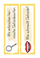 Vorschau - Anderer Materialtyp - Reihentransparenz Getreide – Sachunterricht 3. & 4. Klasse - Seite 3