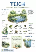 Vorschau - Arbeitsblätter - Lernposter + Arbeitsblätter zum Thema "Teich" + Lösung & MP3 + Mindmap + Infografik - Deckblatt