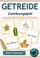 Vorschau - Spiele - Zuordnungsspiel Getreide – Paare finden | Sachunterricht Klasse 3/4 | Getreidesorten, Ähren & Körner - Deckblatt