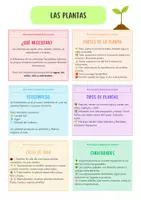 Vista previa - Hojas de trabajo - 🌱 Mini Lapbook: Las Plantas 🌱 - Portada