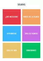 Vista previa - Hojas de trabajo - 🌱 Mini Lapbook: Las Plantas 🌱 - página 2