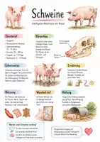 Vorschau - Arbeitsblätter - Lernposter + Arbeitsblatt "Schweine" + Onlineübung & MP3 + Mindmap + Infografik - Deckblatt