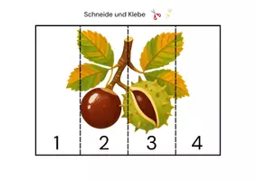 Vorschau - Arbeitsblätter - Schneiden und Kleben Herbst - Seite 2