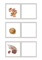 Vista previa - Tarjetas / Manipulativos - CONCIENCIA FONOLÓGICA: ¿CUÁL ES EL SONIDO INICIAL? OTOÑO. - página 3