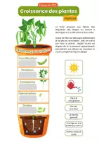 Aperçu - Préparation de séance / Séance complète - Croissance des plantes +1 fiche d'activité - Page 1
