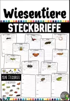 Vorschau - Arbeitsblätter - Wiesentiere - Das Paket (BUNDLE) - Seite 1