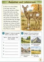 Vorschau - Arbeitsblätter - Rehe im Herbst Klasse 3 -4 Lesen und Verstehen - Seite 1