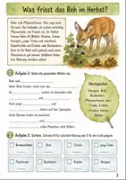 Vorschau - Arbeitsblätter - Rehe im Herbst Klasse 3 -4 Lesen und Verstehen - Seite 2