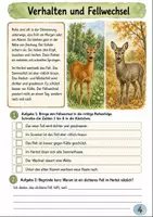 Vorschau - Arbeitsblätter - Rehe im Herbst Klasse 3 -4 Lesen und Verstehen - Seite 3