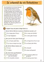 Vorschau - Arbeitsblätter - Rotkehlchen im Herbst Klasse 3 -4 Naturbeobachtung und Steckbrief - Seite 1