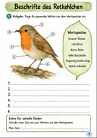 Vorschau - Arbeitsblätter - Rotkehlchen im Herbst Klasse 3 -4 Naturbeobachtung und Steckbrief - Seite 2