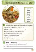 Vorschau - Arbeitsblätter - Rotkehlchen im Herbst Klasse 3 -4 Naturbeobachtung und Steckbrief - Seite 3