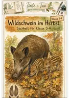 Vorschau - Stundenentwürfe - 8 beliebte Herbsttiere Materialpaket (Klasse 3 -4) - Seite 1