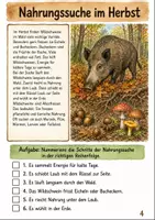 Vorschau - Arbeitsblätter - Wildschwein im Herbst Klasse 3 -4 Lesen und Verstehen - Seite 3