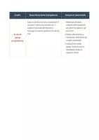 anteprima - Materiale di supporto/inclusione - Griglia di Valutazione (OM 172/2020) Autonomia e Impegno - Pagina 2