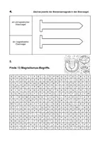 Vorschau - Arbeitsblätter - Grundwissen Magnetismus Arbeitsblatt mit Lösung - Seite 1