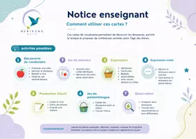 Aperçu - Cartes / Images - Les dinosaures – 16 cartes de vocabulaire illustrées - gratuit | Maternelle & Cycle 1 - Page 2
