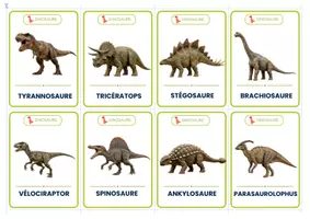Aperçu - Cartes / Images - Les dinosaures – 16 cartes de vocabulaire illustrées - gratuit | Maternelle & Cycle 1 - Page 3