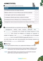 Vorschau - Arbeitsblätter - Die Hauskatze - Seite 3