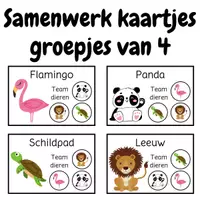 Voorbeeld - Samenwerk kaartjes | Samenwerken in groepjes van 4 - Voorblad