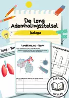 Voorbeeld - De long - Ademhalingsstelsel - Anatomie - Biologie - Voorblad