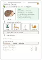 Vorschau - Arbeitsblätter - GRATIS Herbst - Der Igel (Steckbrief) - Seite 3