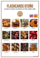 Vista previa - Hojas de trabajo - Flashcards vocabulario otoño - Tesoros Brillantes - Portada