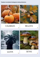 Vista previa - Hojas de trabajo - Flashcards vocabulario otoño - Tesoros Brillantes - página 2