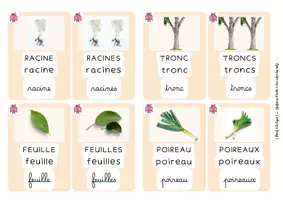 Aperçu - Apprentissages en autonomie - Carte de vocabulaire façon apprentilangue - Thème jardin - Page 2