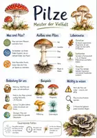 Vorschau - Arbeitsblätter - Lernplakat + Arbeitsblatt "Pilze" + Onlineübung & MP3 + Mindmap + Infografik - Deckblatt