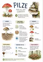 Vorschau - Arbeitsblätter - Lernposter + Arbeitsblätter zum Thema "Pilz" + Lösung & MP3 + Infografik - Deckblatt