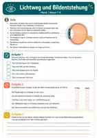 Vorschau - Arbeitsblätter - Das Auge – Optik verstehen – Physik, Klasse 7–8 - Seite 3