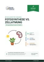 Vorschau - Stundenentwürfe - Biologie: Fotosynthese vs Zellatmung - Klasse 7 - Deckblatt
