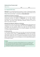 Vorschau - Stundenentwürfe - Materialpaket Energiestoffwechsel: Fotosynthese und Zellatmung Klasse 7/8 - Seite 3