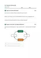 Vorschau - Stundenentwürfe - Biologie: Der Kohlenstoffkreislauf - Klasse 7 - Seite 3
