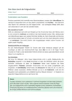 Vorschau - Stundenentwürfe - Biologie: Erdzeitalter und Fossilien - Klasse 7 - Seite 2