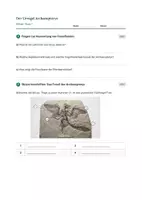 Vorschau - Stundenentwürfe - Biologie: Fossilfunde auswerten - Klasse 7 - Seite 3