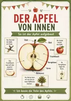Vorschau - Arbeitsblätter - Apfel Komplettpaket 1. + 2 Klasse + s/w Version - Seite 3