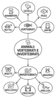 anteprima - Mappe concettuali - VERTEBRATI-INVERTEBRATI - Pagina di copertina