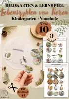 Vorschau - Arbeitsblätter - Lebenszyklen von Tieren | Bildkarten für Kindergarten & Vorschule - Deckblatt